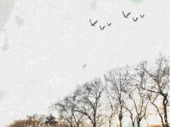 屬雞男和屬龍女的婚姻配嗎 屬雞男和屬龍女婚姻相配嗎