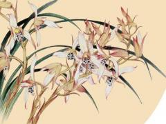 六六年水馬婚姻與運程 六六年的馬一生婚姻