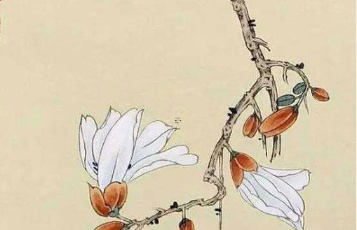 72年屬鼠晚年,72年屬鼠晚年幸福嗎
