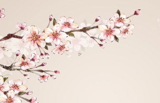 2023要犯太歲的生肖是什么,2023犯太歲的4大生肖有哪些