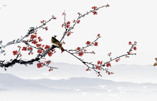 2023年1月屬虎人命運