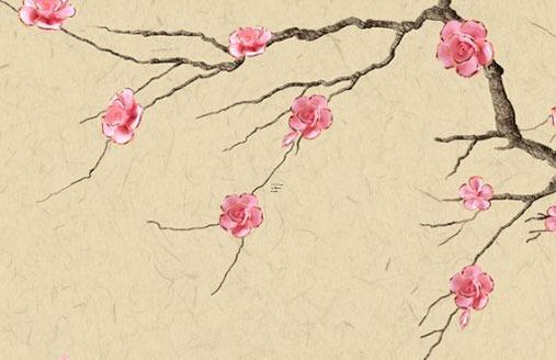 屬猴的女孩今年幾歲,屬猴女能活多大歲數(shù)