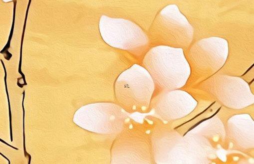 八字合婚怎么看合幾個字 八字合婚如何看夫妻關系 八字合婚怎么看合幾個字 八字合婚如何看夫妻關系