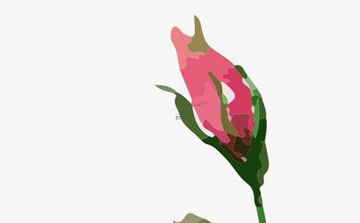 女孩子怎么起簡單的名字薛姓 薛姓女孩兒名字 女孩子怎么起簡單的名字薛姓 薛姓女孩兒名字