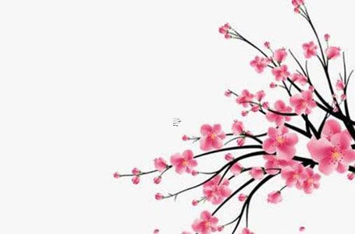 屬猴女人2023戴什么手鏈好,屬猴女性2023年適宜戴什么石