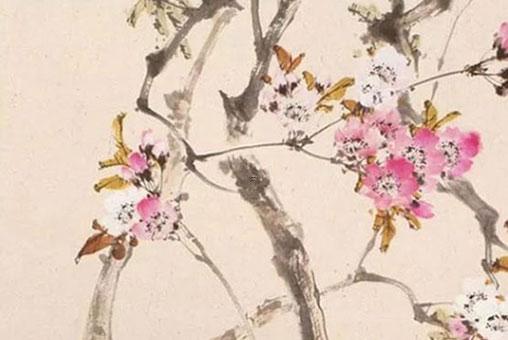 屬龍養什么花最合適,屬龍養什么花好