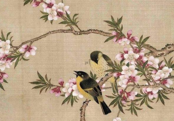 金魚養(yǎng)幾條最好最旺財什么顏色 金魚到底養(yǎng)幾條旺財
