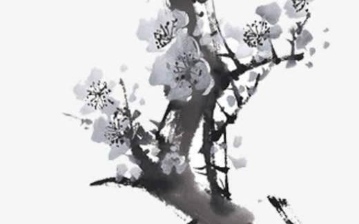 通過八字看ta的相貌 通過八字可以看出什么