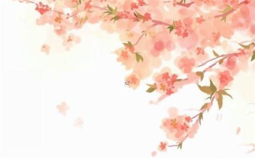 都是二婚怎么相處女方還是土豪 都是二婚的會有愛嗎