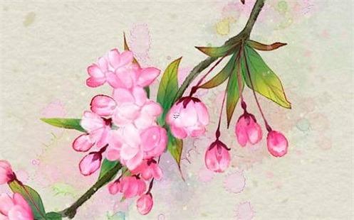 屬馬4月出生是什么命 屬馬四月出生的人
