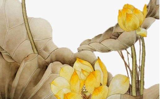 用梳子梳頭的好處 用梳子有什么好處 用梳子梳頭的好處 用梳子有什么好處