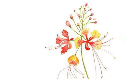 qq網(wǎng)名女生簡(jiǎn)單個(gè)性 qq網(wǎng)名 女生 昵稱(chēng) 個(gè)性