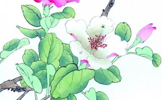 屬鼠的人配什么生肖最合適 屬鼠配什么生肖好 屬鼠的人配什么生肖最合適 屬鼠配什么生肖好