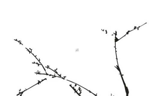 兩個字好聽的李姓女孩名字 兩個字李姓女孩名字大全