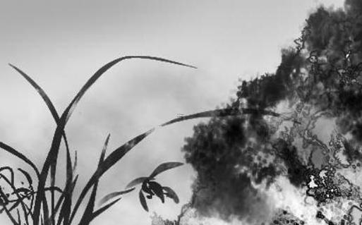 女生屬兔本命年結婚好嗎,女生屬兔本命年結婚好嗎婚姻如何