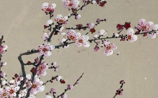 算命說我不占離婚 算命的說我不會(huì)離婚準(zhǔn)嗎