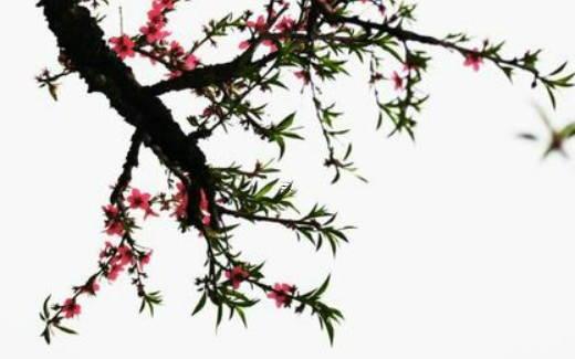 算命說官氣強是什么意思 算命里說的官氣是什么意思