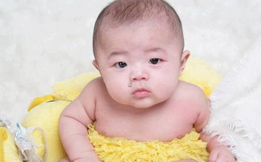 好聽的女孩乳名屬豬 小女孩乳名洋氣點的屬豬