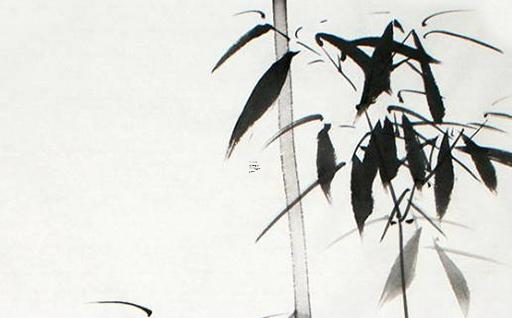 19年屬豬6月哪天出生好,2019年豬寶寶六月出生好不好
