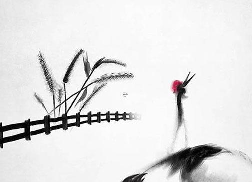 屬豬女婚配啥屬相最好,屬豬女配什么生肖結(jié)婚好