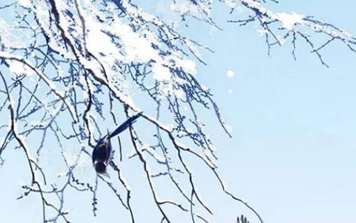 四柱八字中的天干地支各 四柱中天干地支的意義