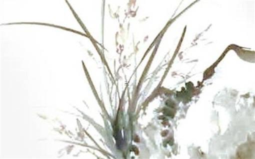屬鼠的女最佳婚配,1998年屬虎女的最佳婚配