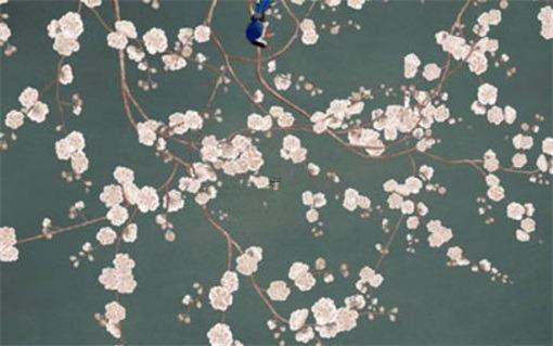 古時候七夕怎么過 古代七夕節干什么 古時候七夕怎么過 古代七夕節干什么