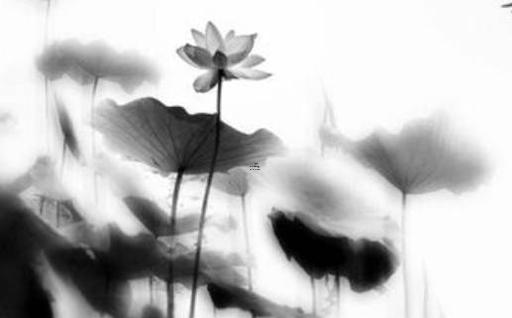 陰歷八月6號是陽歷多少 陰歷8月6號是多少號