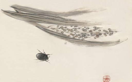 屬龍六月出生屬什么命,屬龍6月出生是什么命