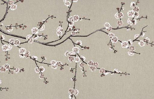 屬龍女幾日出生最旺 屬龍女孩幾日出生最好 屬龍女幾日出生最旺 屬龍女孩幾日出生最好