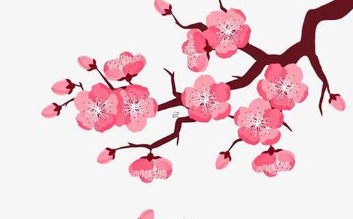 少林職業游戲人物名字 少林職業游戲人物名字