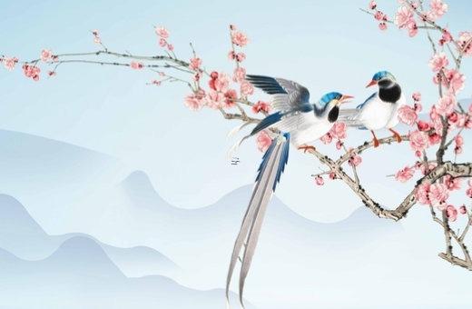 生辰八字養(yǎng)什么魚最好 生辰八字養(yǎng)寵物