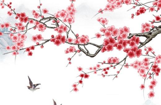 算命的說官殺是什么意思 官殺啥意思