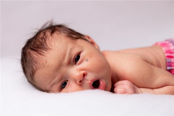 周公解夢小兔子被火燒 夢見兔子被燒死是什么預兆
