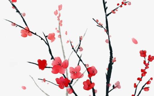 女孩子什么日子出生比較好 女孩子什么日子出生比較好呢