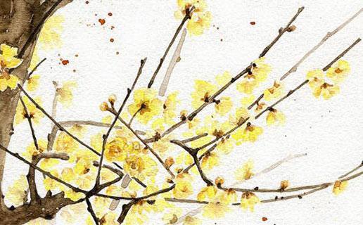 男女起名的差異 男女起名忌諱