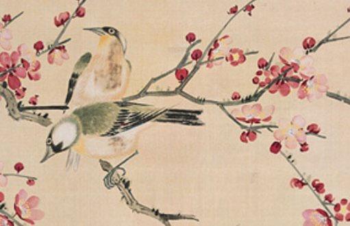 屬兔抖音名字 屬兔的抖音昵稱用什么好 屬兔抖音名字 屬兔的抖音昵稱用什么好