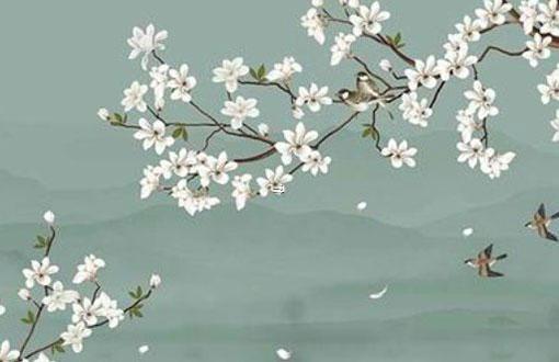 生辰八字中梟對(duì)應(yīng)什么 八字中的梟代表什么意思
