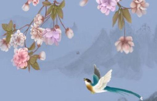 乾隆八字分析為什么已未年死 乾隆末年是什么年