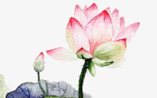怎樣查詢出生日期八字 八字中出生時間怎樣查