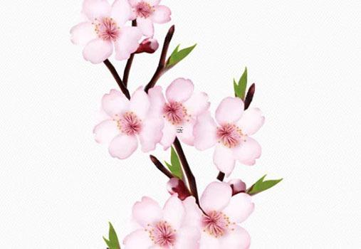 八字算結婚年齡怎么算 八字算自己結婚年齡