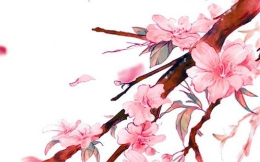 2023屬虎的運(yùn)勢(shì) 2023屬虎的運(yùn)勢(shì)和財(cái)運(yùn)1998年