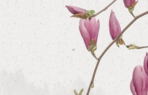 希爾頓帕麗斯八字 帕麗斯希爾頓有多少錢