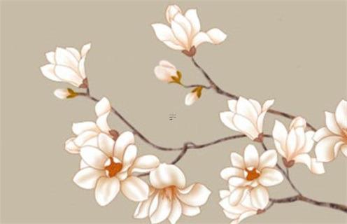 51年屬兔晚年,51年屬兔人的命運(yùn)