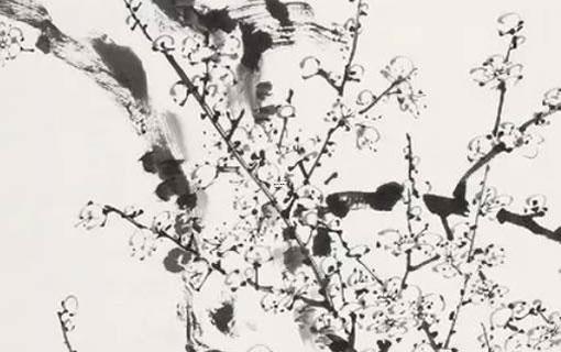 含葉酸的食物和水果有哪些 含葉酸食物排行表 含葉酸的食物和水果有哪些 含葉酸食物排行表