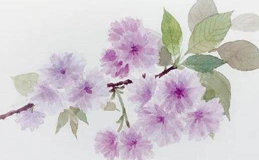 qq群個性名 qq個性群名片