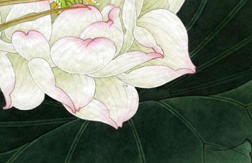 87年屬兔的今年是多少周歲 屬兔87年多大歲數