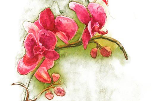 風水轉(zhuǎn)運平安鎮(zhèn)宅符帖哪好 驅(qū)邪平安鎮(zhèn)宅符