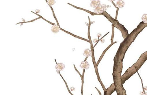 女人眉毛和眼間有痣 女人眼眉與眼睛部位有痣圖解