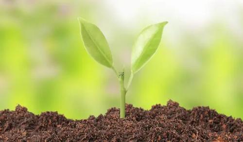 夢見算命說我命運(yùn)很好啥意思 夢見算命的說我運(yùn)勢好